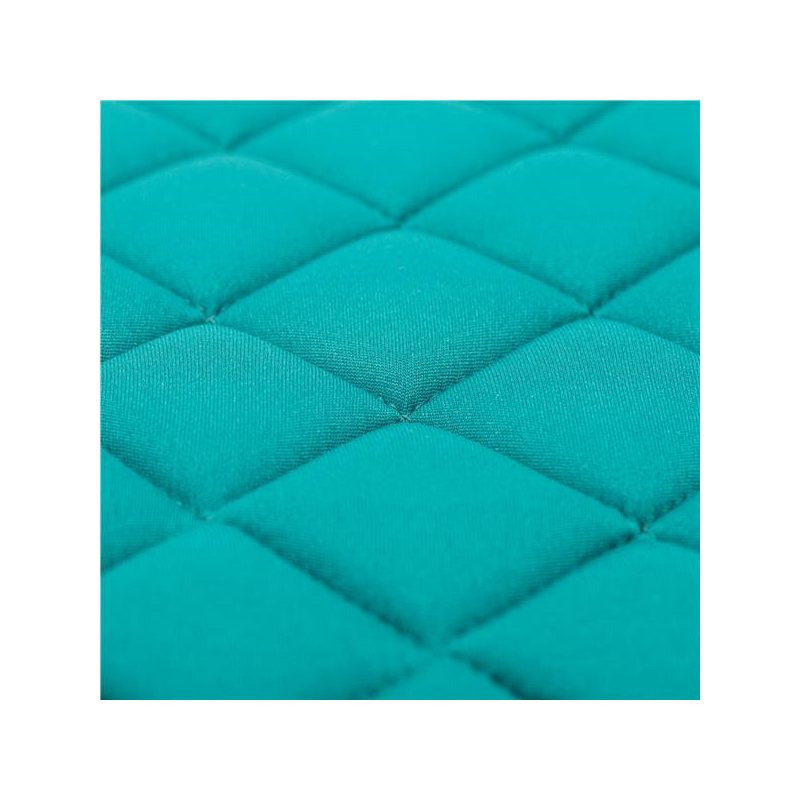 Podloga za autosjedalicu, BABY MIX HERO Plus I-SIZE adapter s datumom - Slika 22