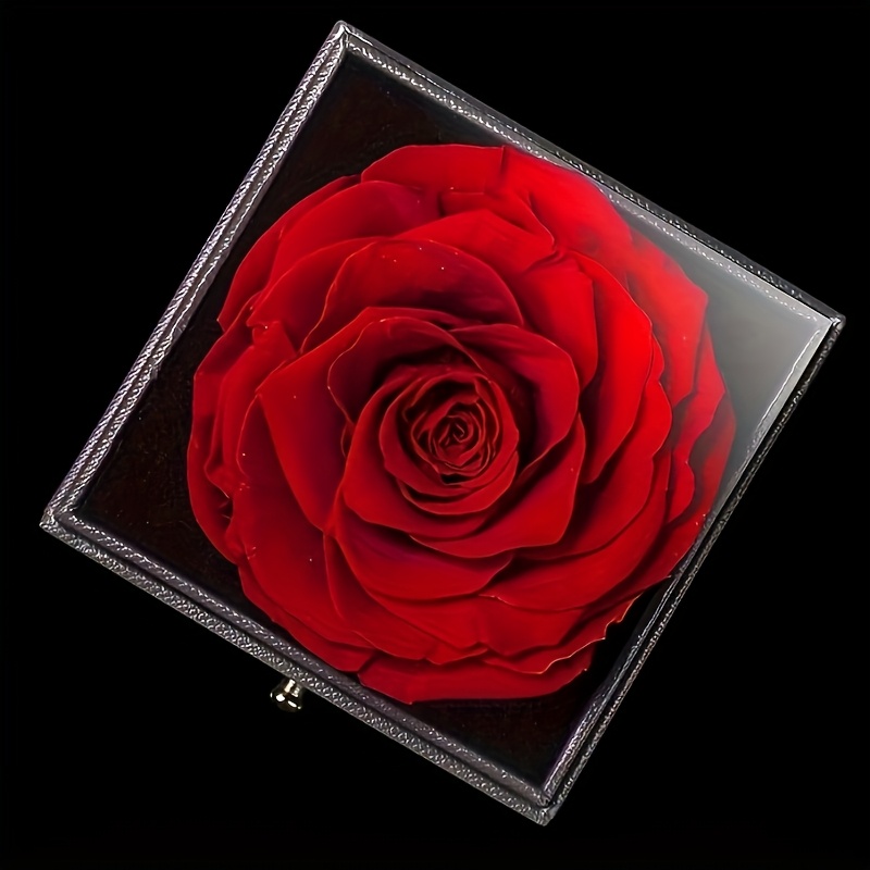 MONODEAL Vječna prava ruža, s ogrlicom I Love You, 100 jezika, prave ruže, cvjetni nakit, poklon kutija, ruža, romantična za vo, Majčin dan, Božić, rođendanski pokloni za nju - Slika 4
